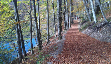 Biogradska Gora - Walking paths