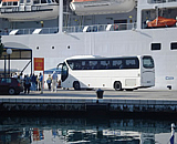 kotor shore tours