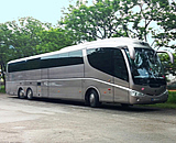 Guided bus tours 74 seat